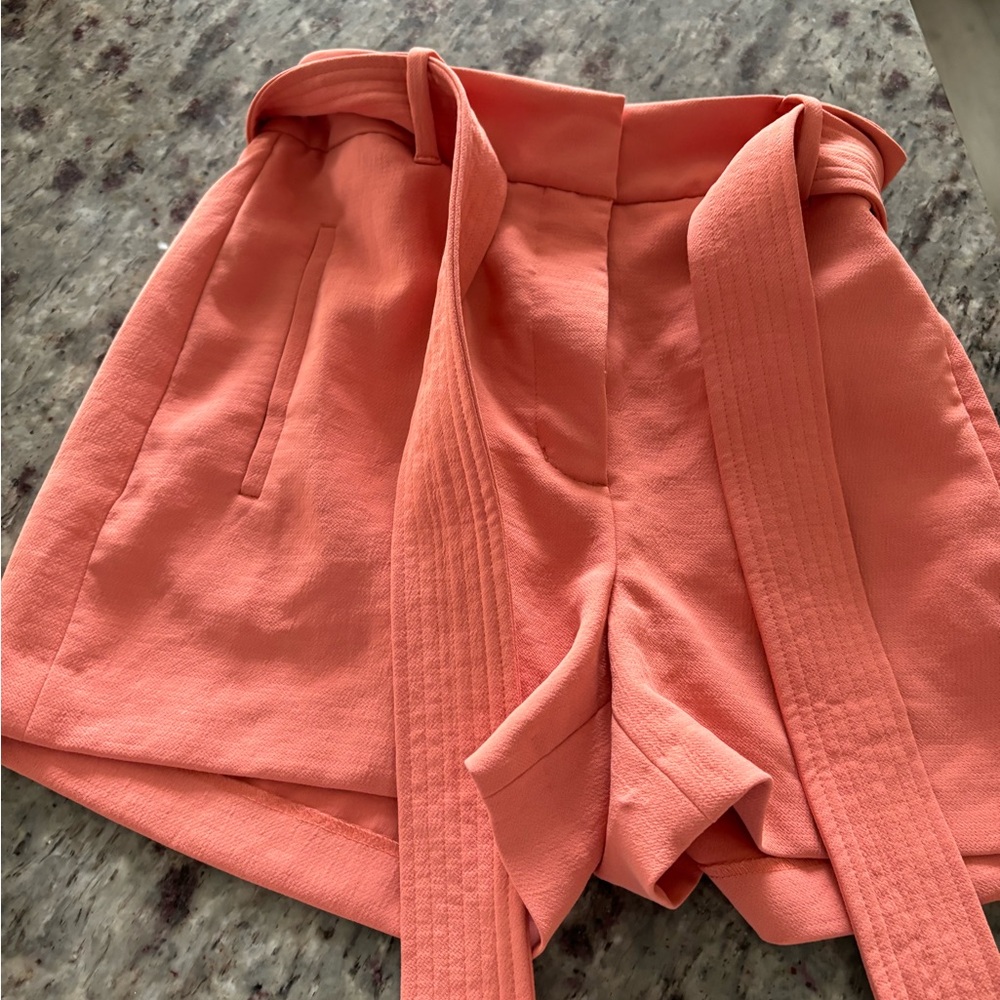 Aritzia Wilfred shorts in a 4